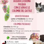 Uova e Colombe del Gattile di Carpi