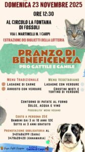 Pranzo di beneficenza pro Gattile e Canile Domenica 23 Novembre
