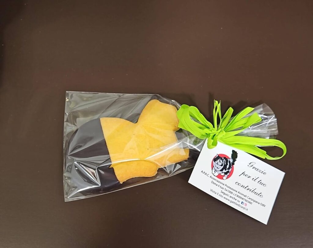 Festa del Gatto - Domenica 22 Febbraio 2026