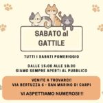Sabato al Gattile 2026
